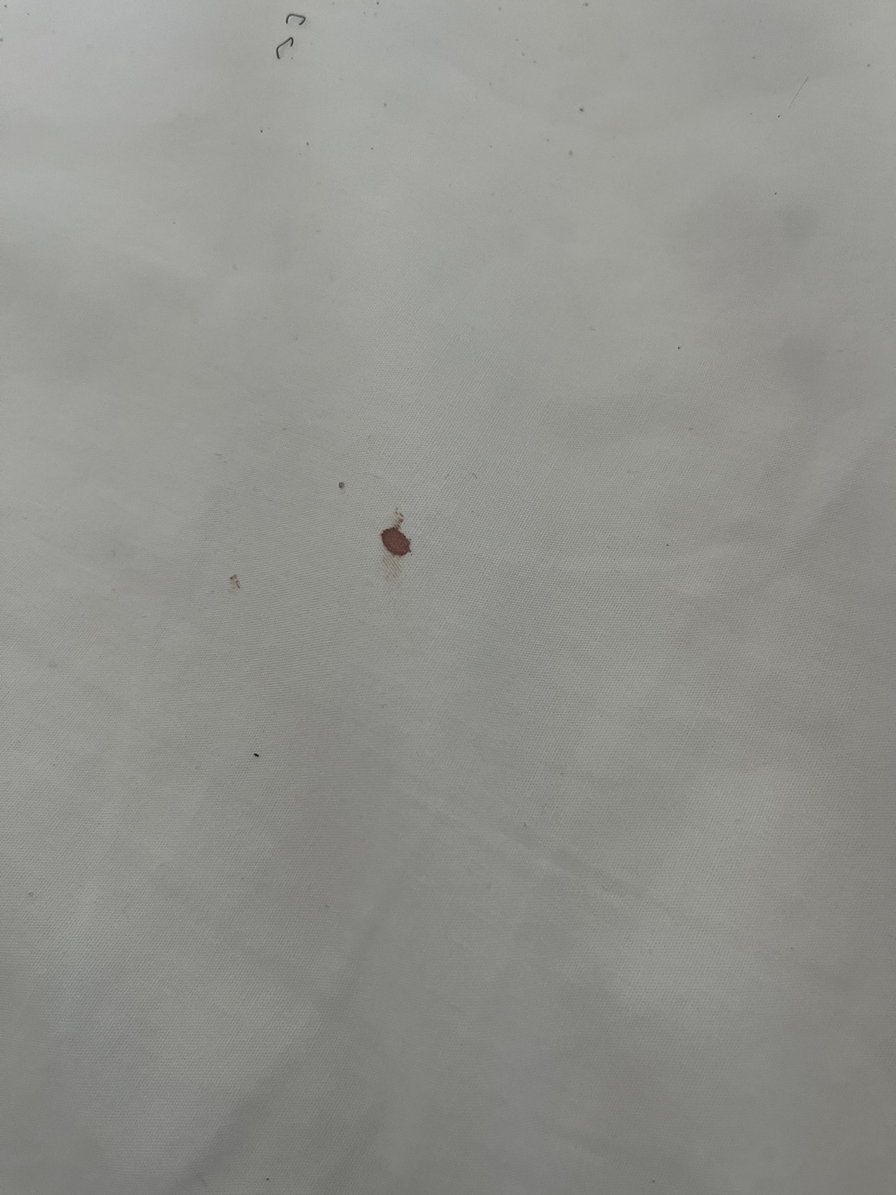 Blood stain on my sheets upon arrival