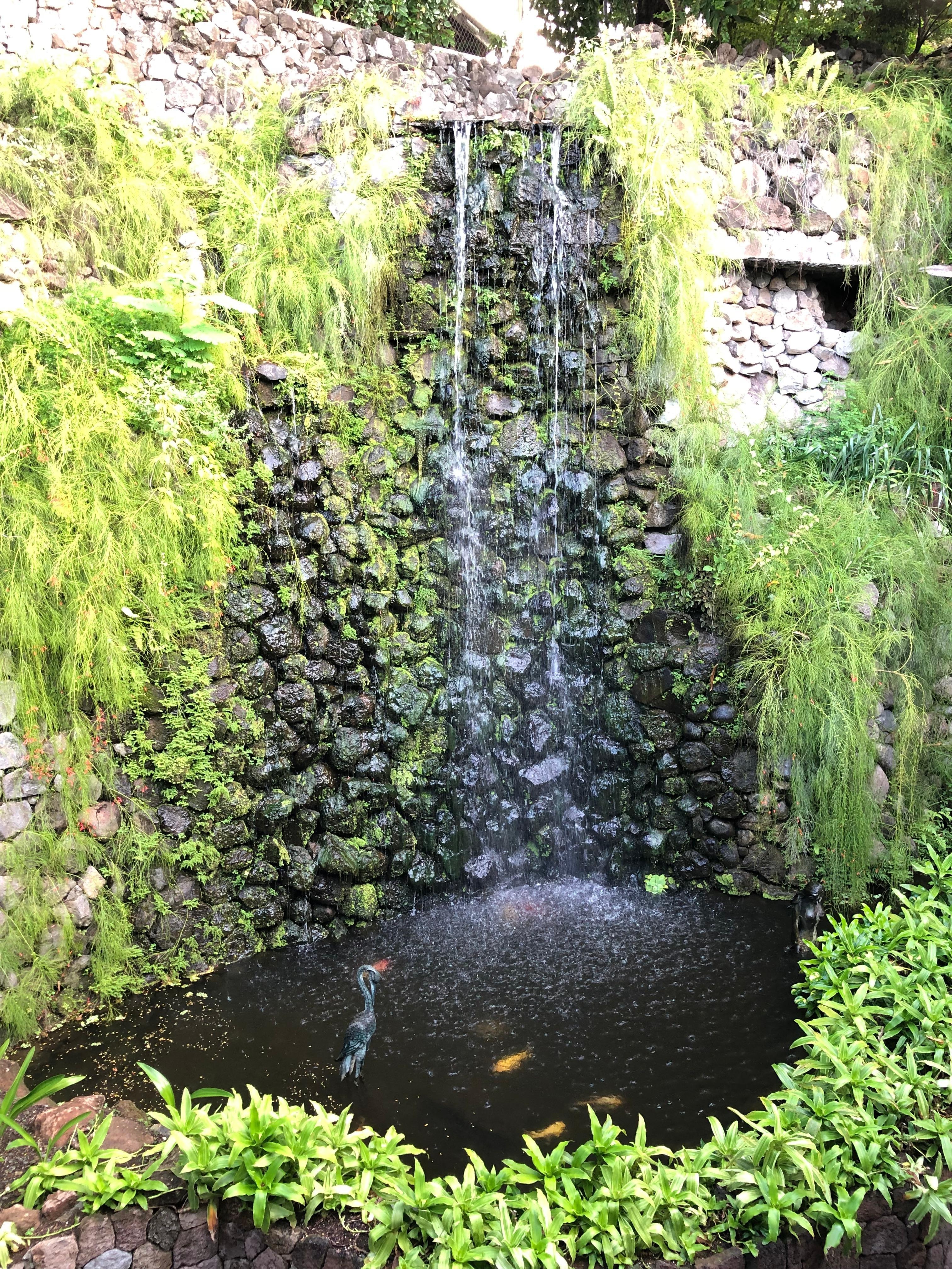 Located on the hotel grounds 