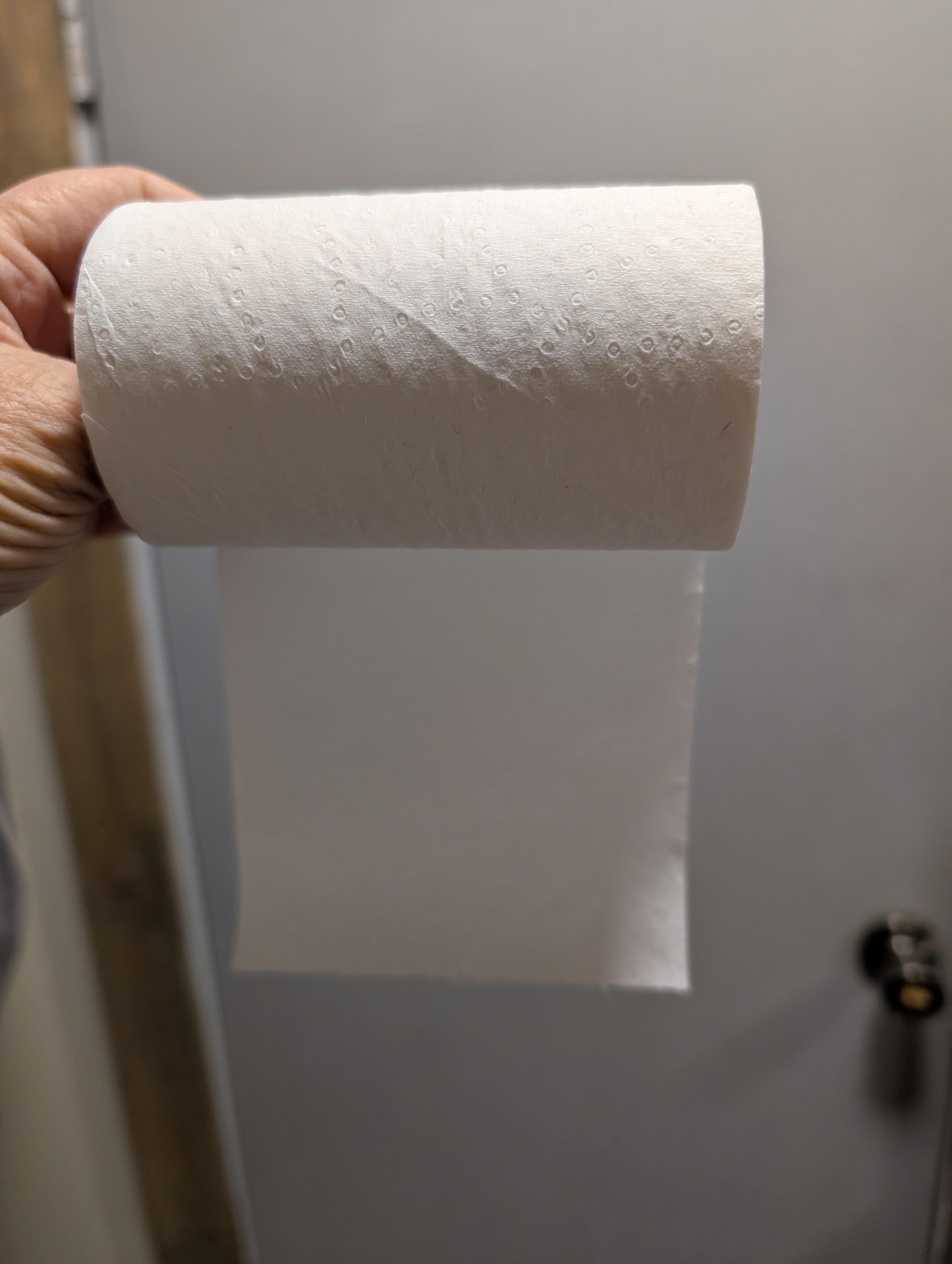 Single ply toilet paper. We bought our own.
