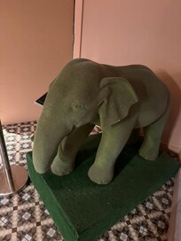 Lovely elephant