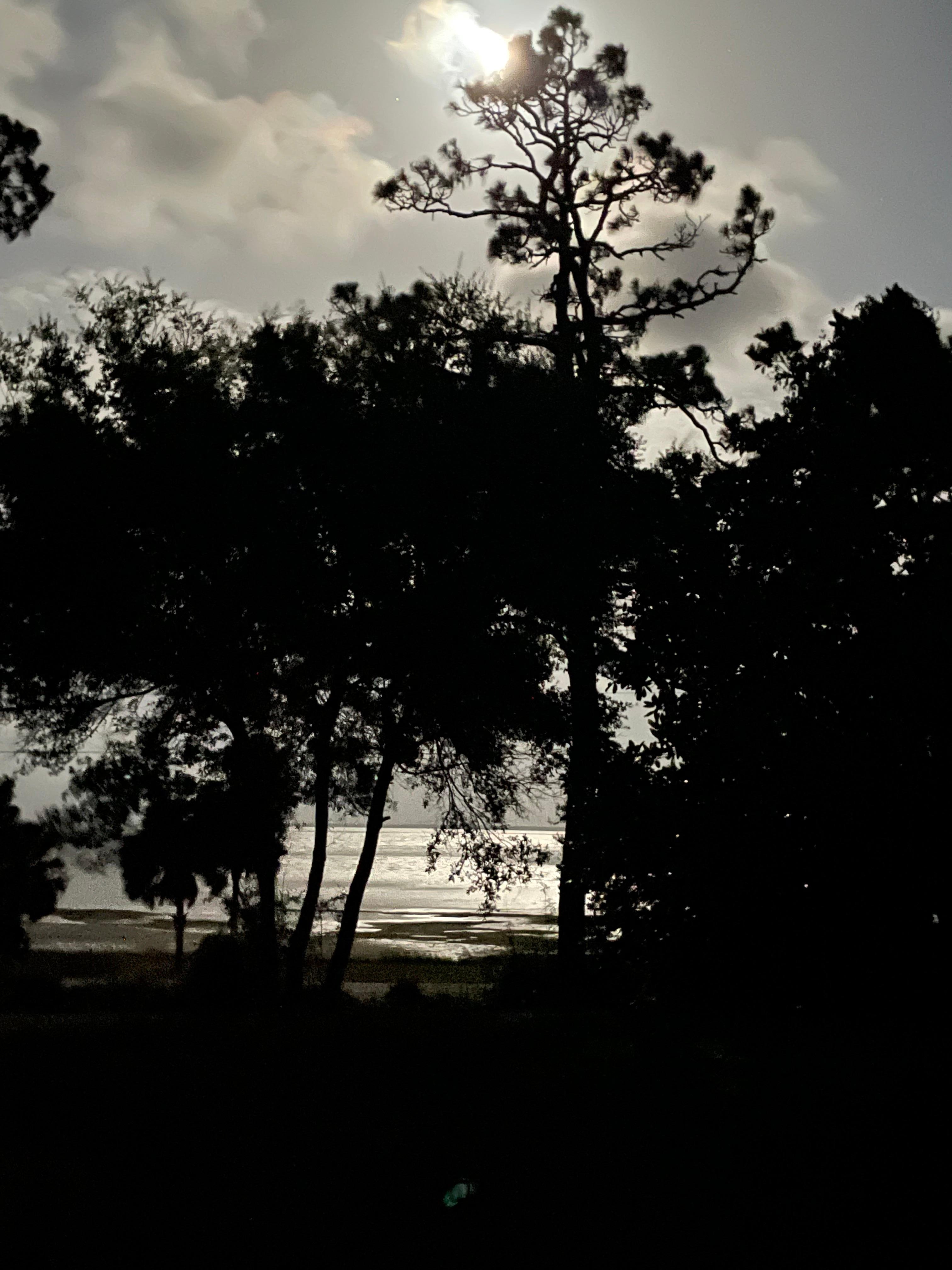 We took this photo for the screened porch. The view was amazing!