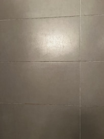 Mold in the shower grout