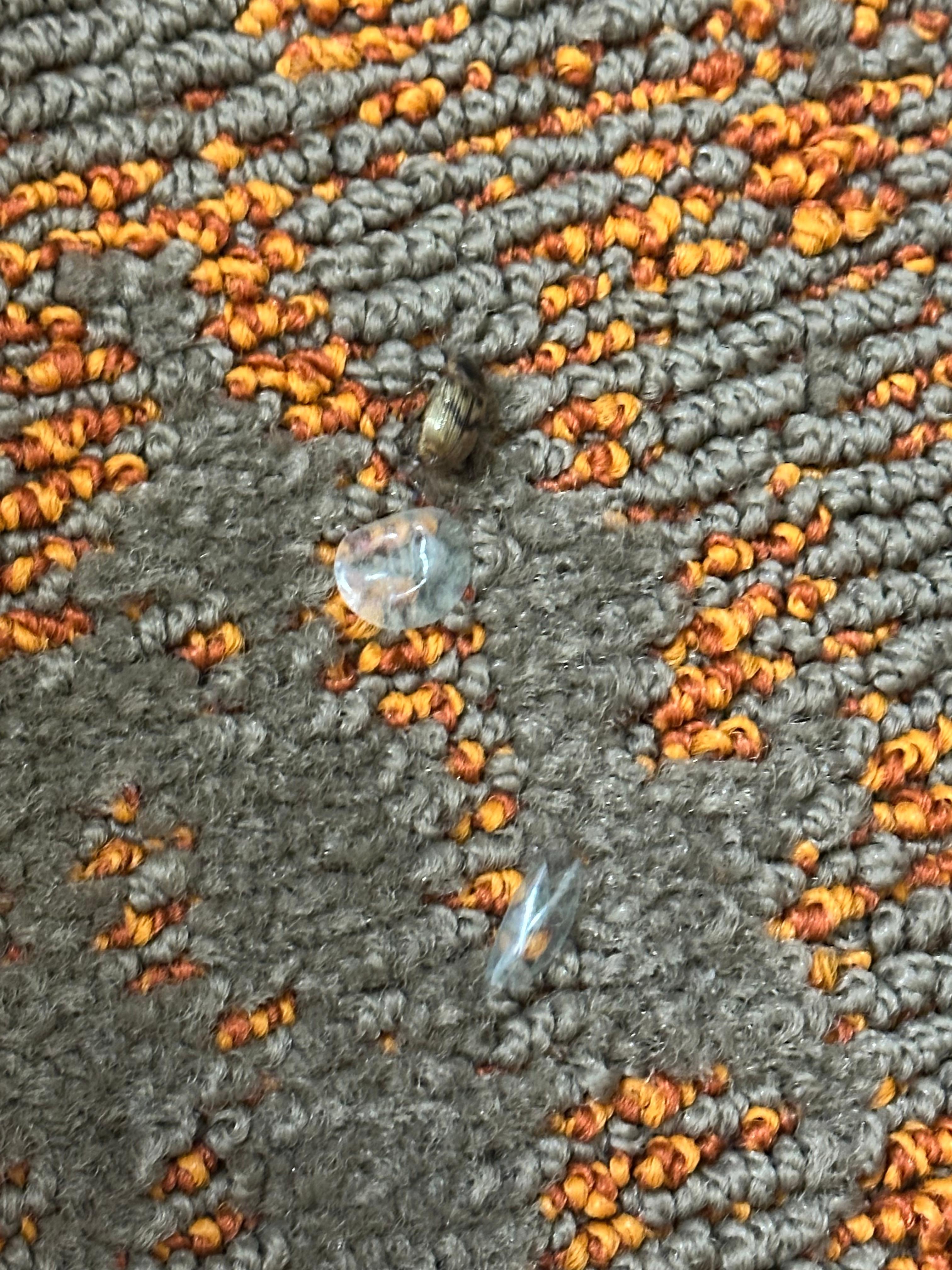 A dead bug and old dried crunchy contact lenses next to thw other side of the bed