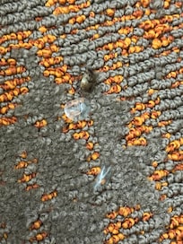 A dead bug and old dried crunchy contact lenses next to thw other side of the bed