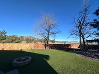 Backyard view!