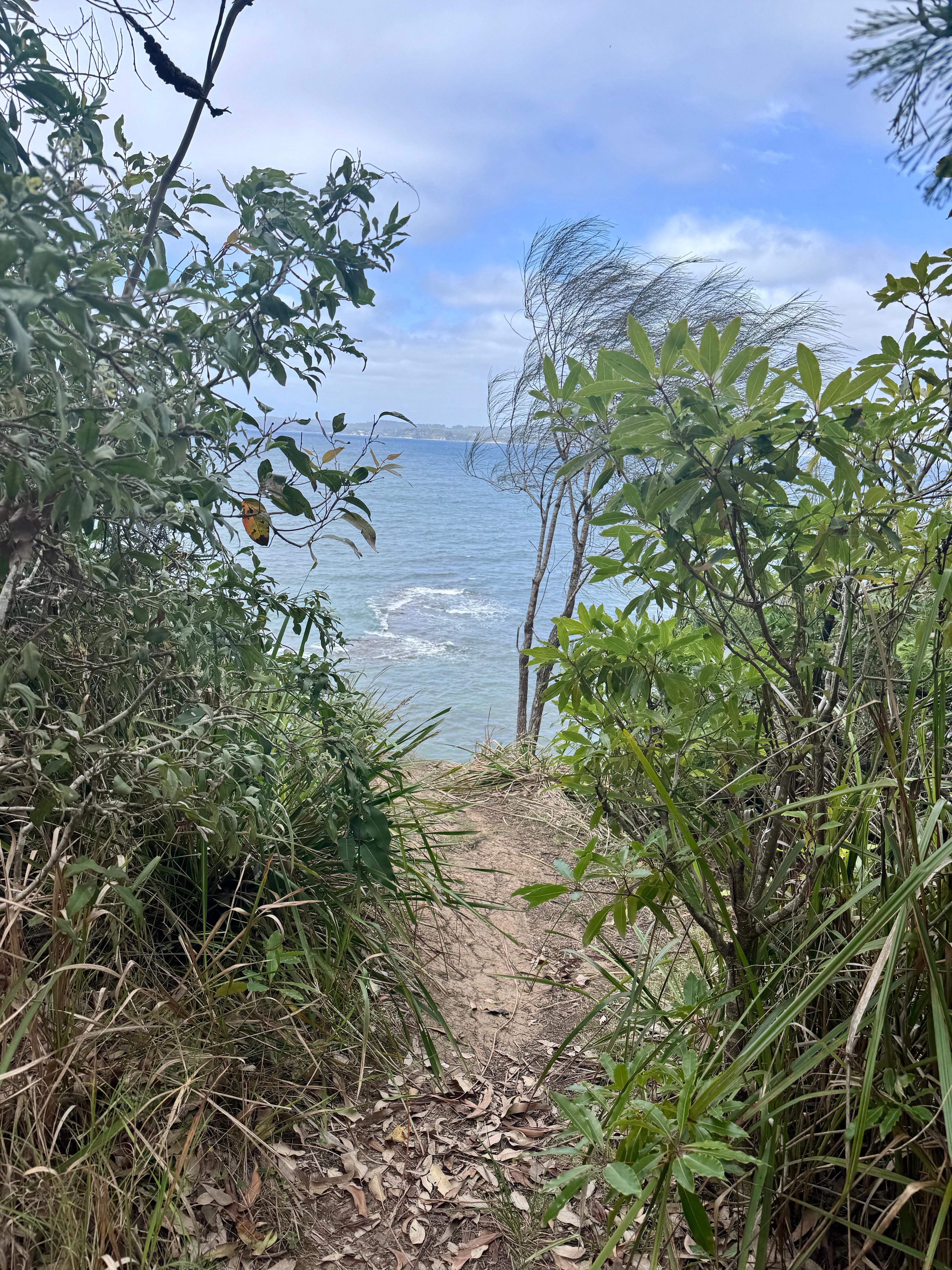 Lovely lookout 10 min walk away