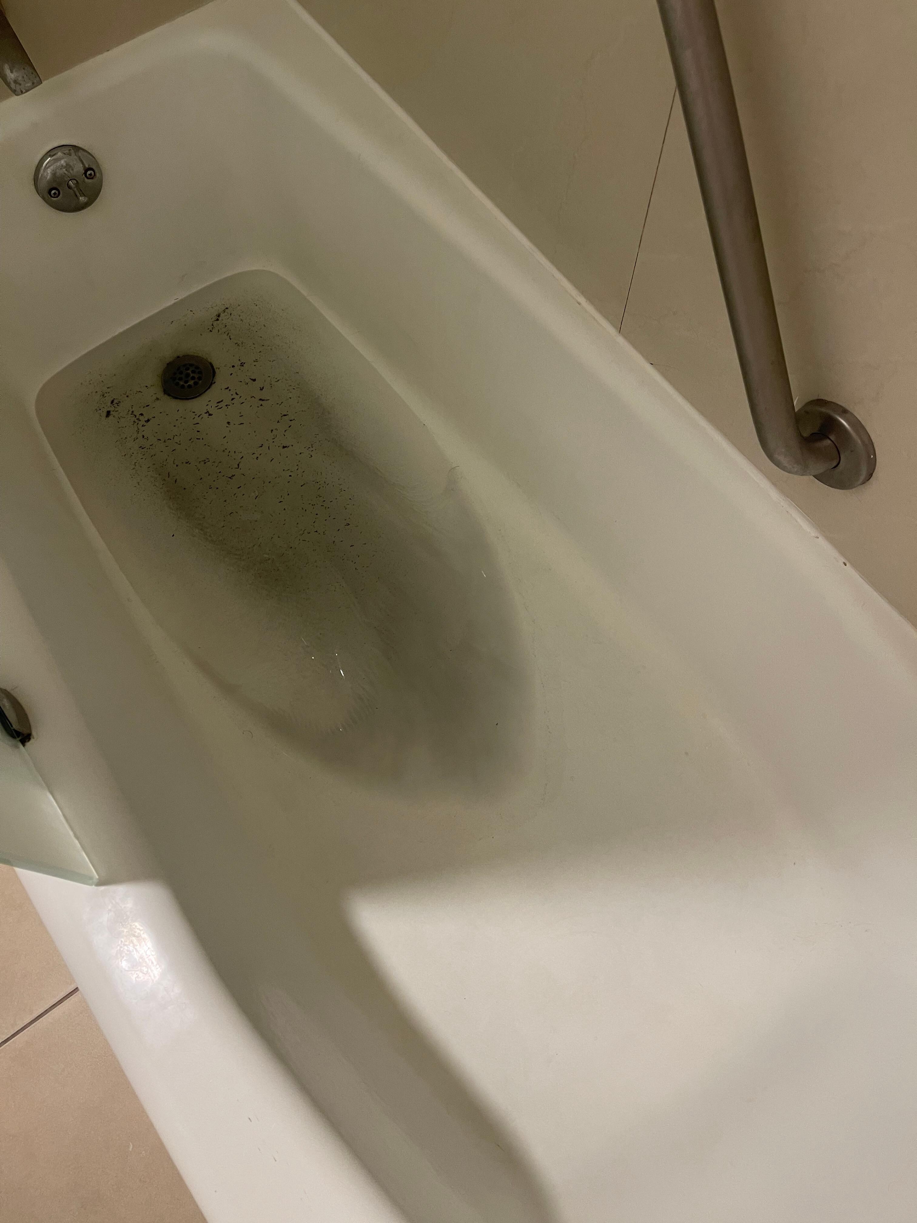 Bañera llena de residuos fecales 