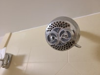 Rusty shower head