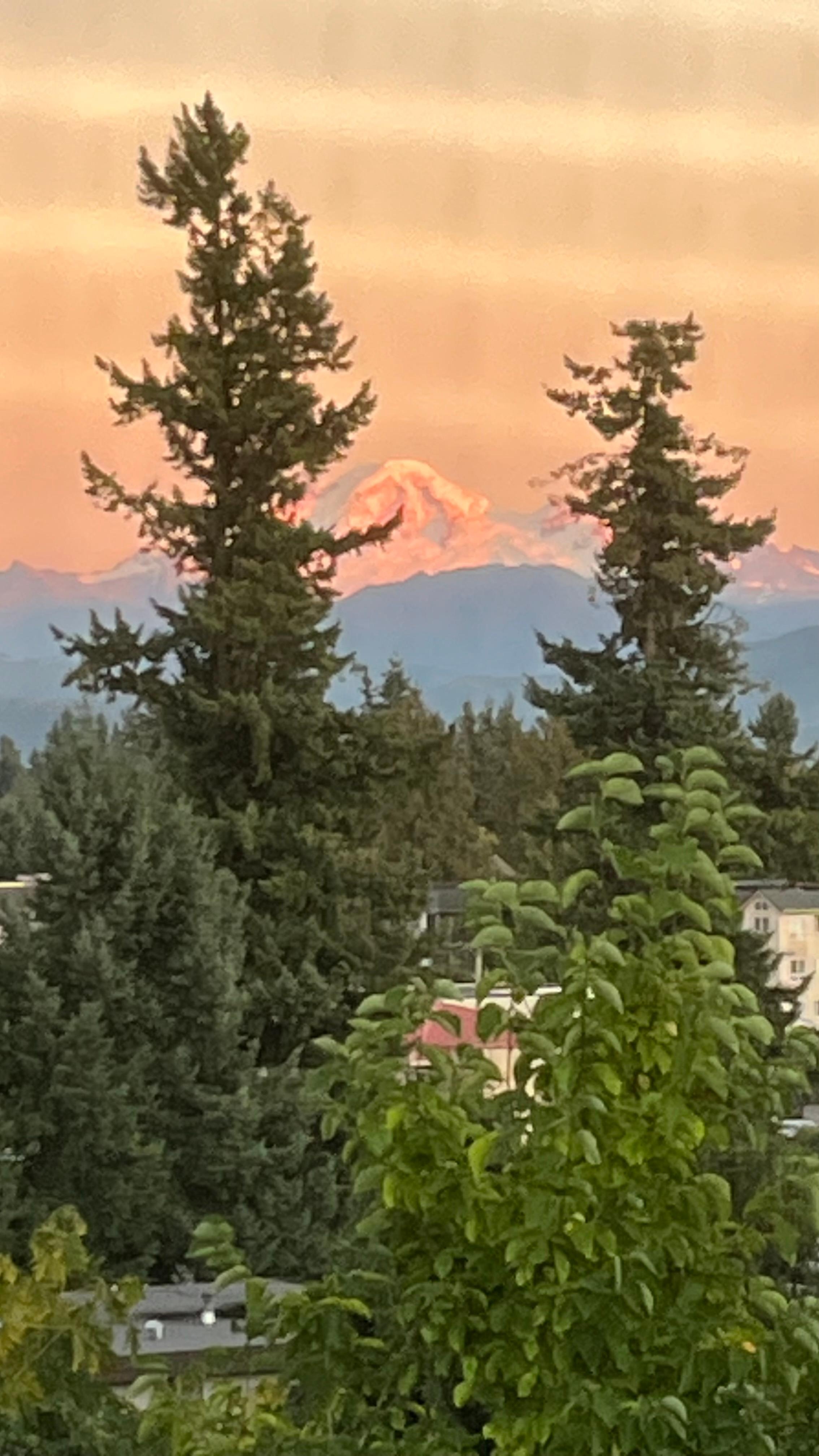 Una vista spettacolare 