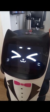 A melhor experiência de todas. A Bella é perfeita.