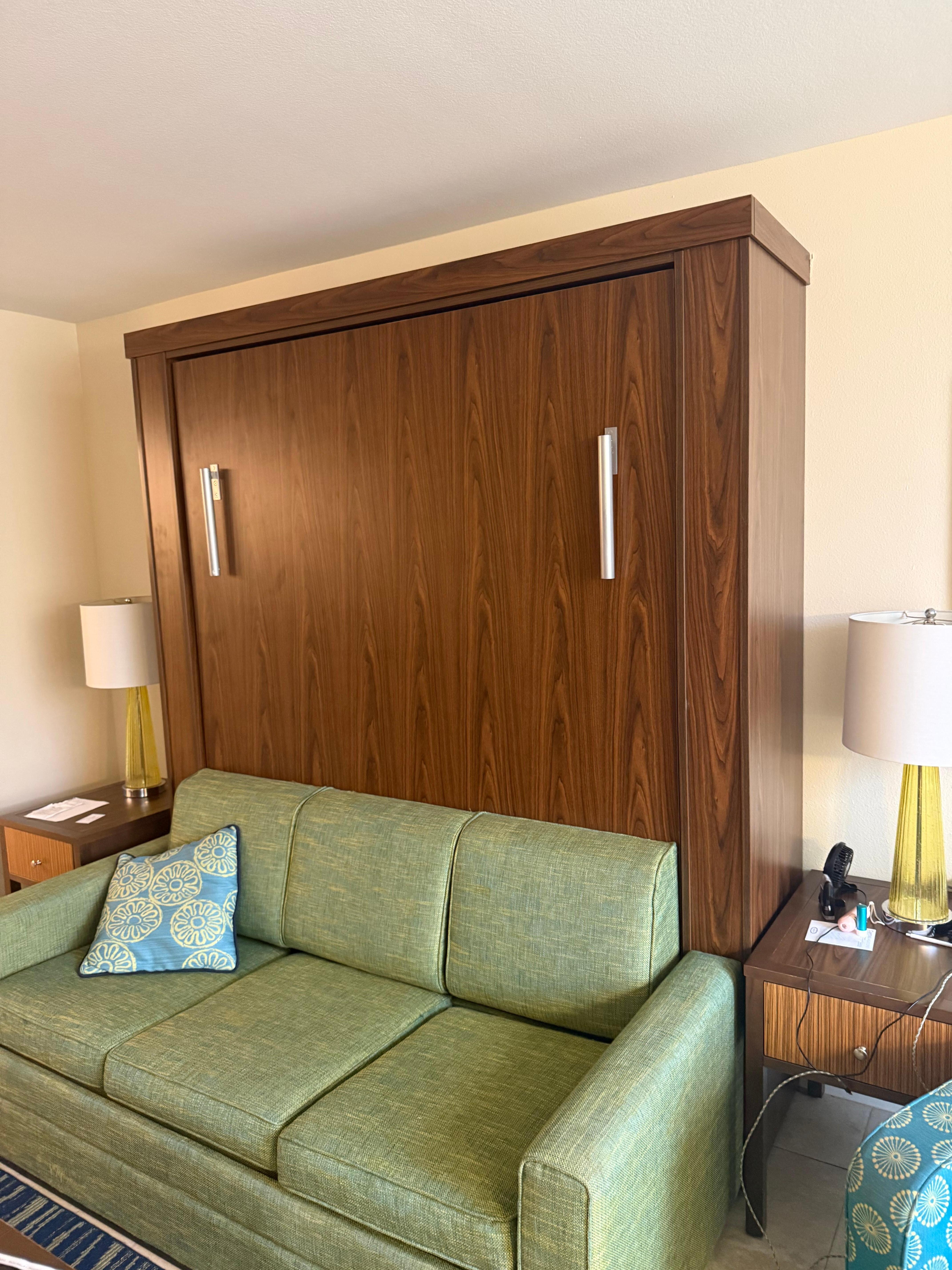 Couch with pull down bed. Those silver things are the bed legs