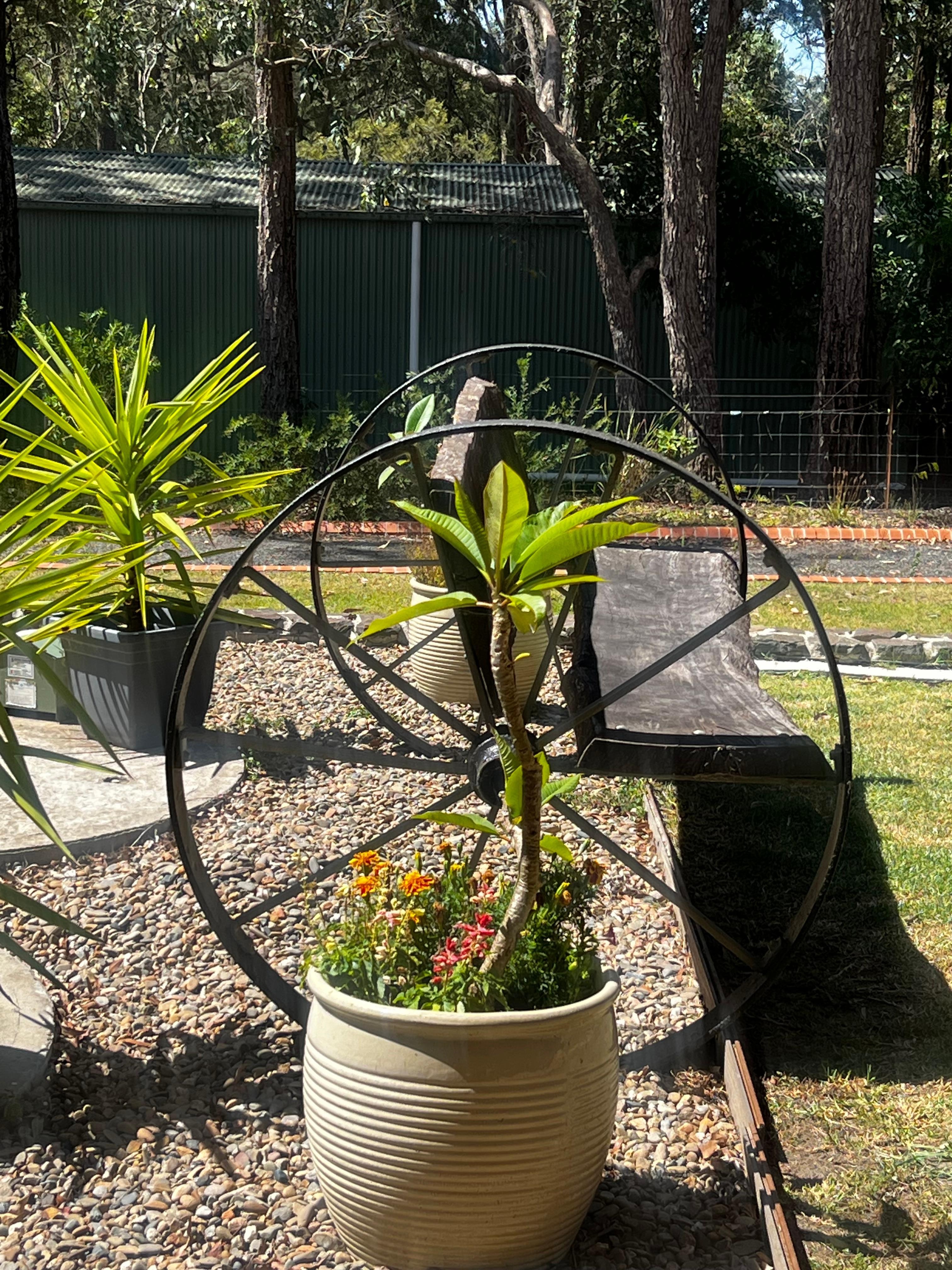 Photo of the garden outside of the accommodation 