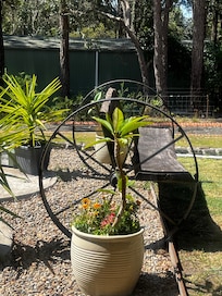 Photo of the garden outside of the accommodation