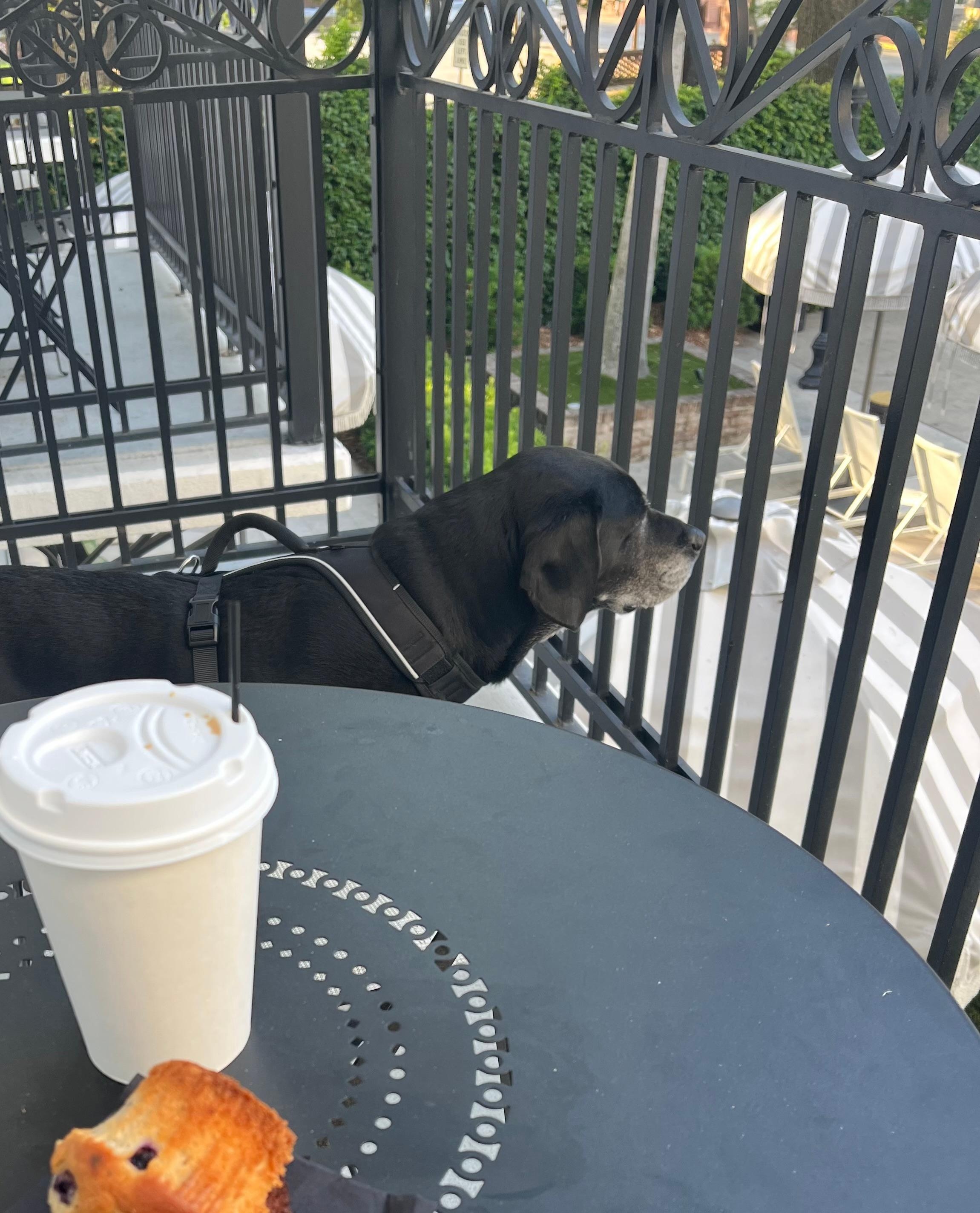 Morning coffee on the balcony!