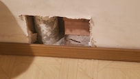 Hole in wall in basement hidden behind the trash can. Wonder how the mice ate getting in?