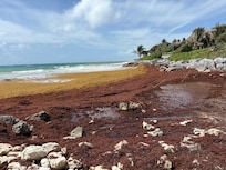 Beach was not usable