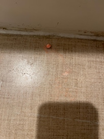 Another colored pellet in bathroom floor