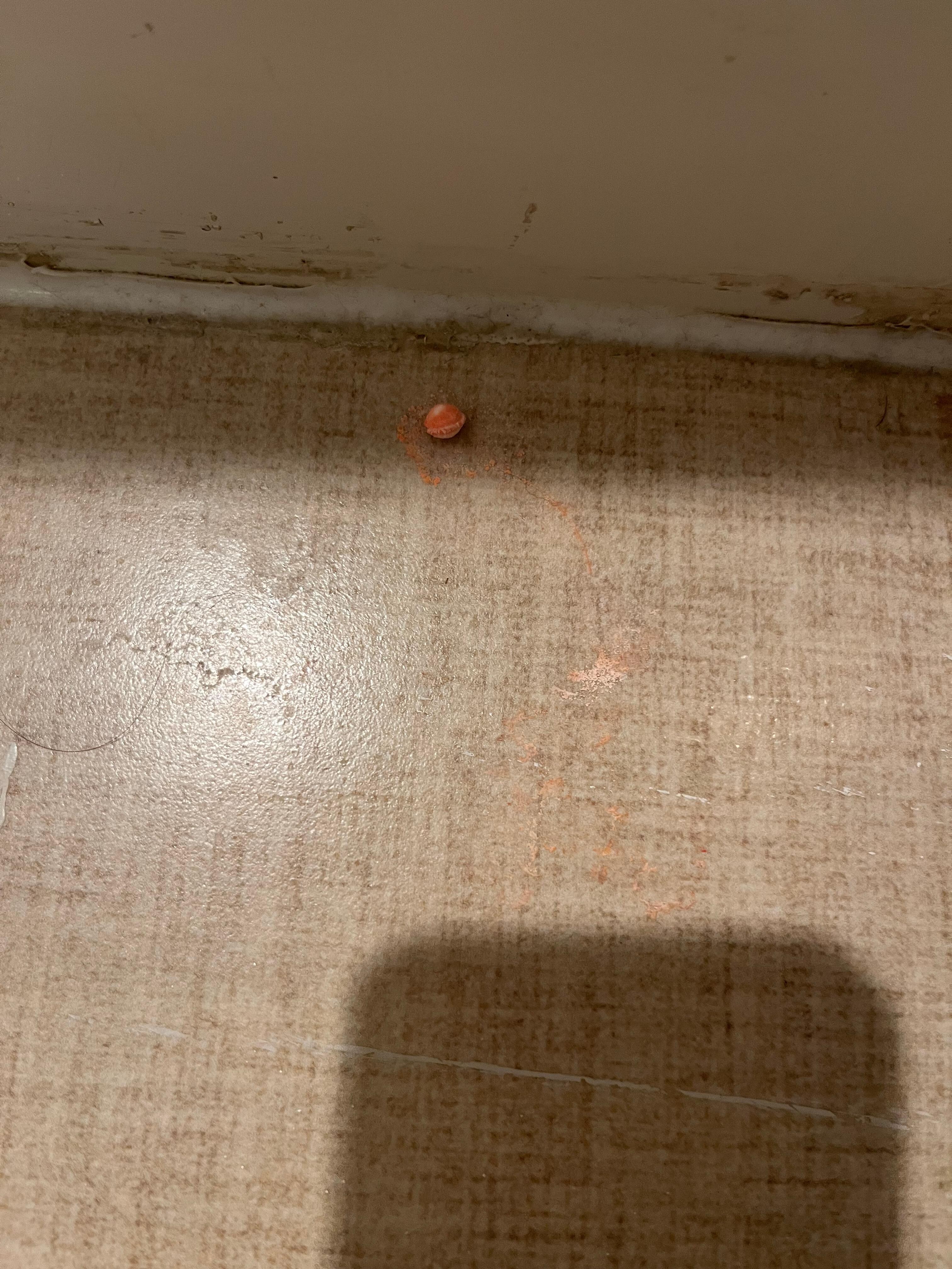 Another colored pellet in bathroom floor