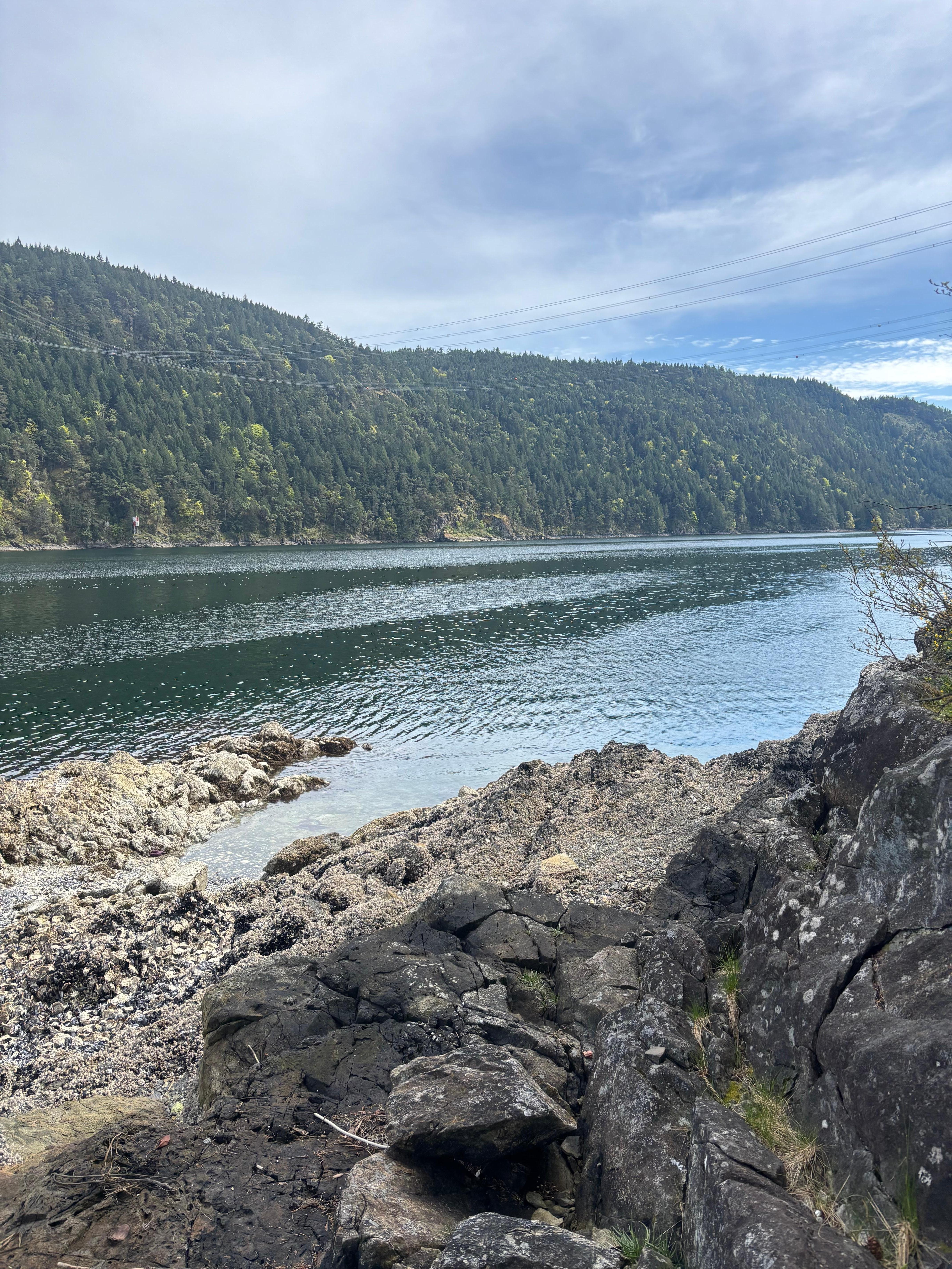 The view from the front yard