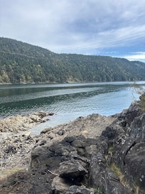 The view from the front yard