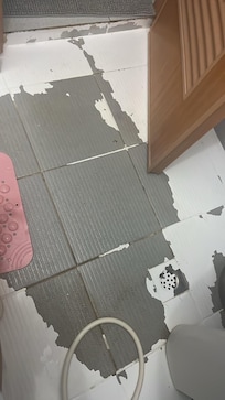 Floor of the bathroom