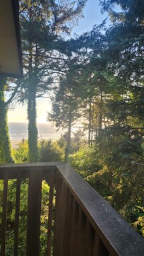 Room view.