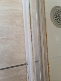 Scum Mark on the bottom of the shower door.
Easy to remove