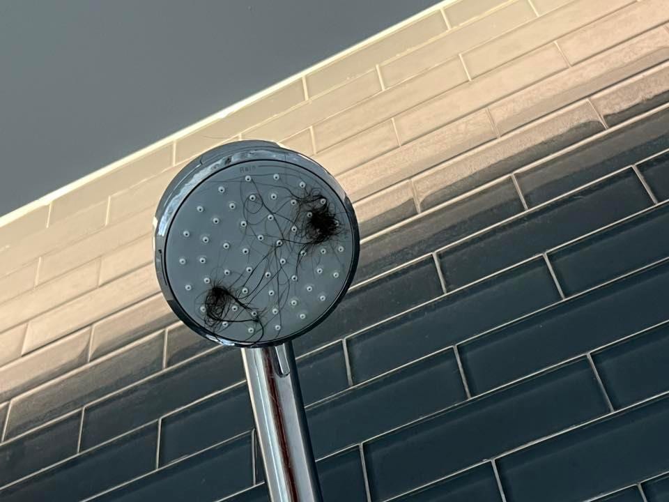 Disgusting and unsanitary. No way they had cleaned our room 