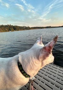 Our girl watching a pontoon.