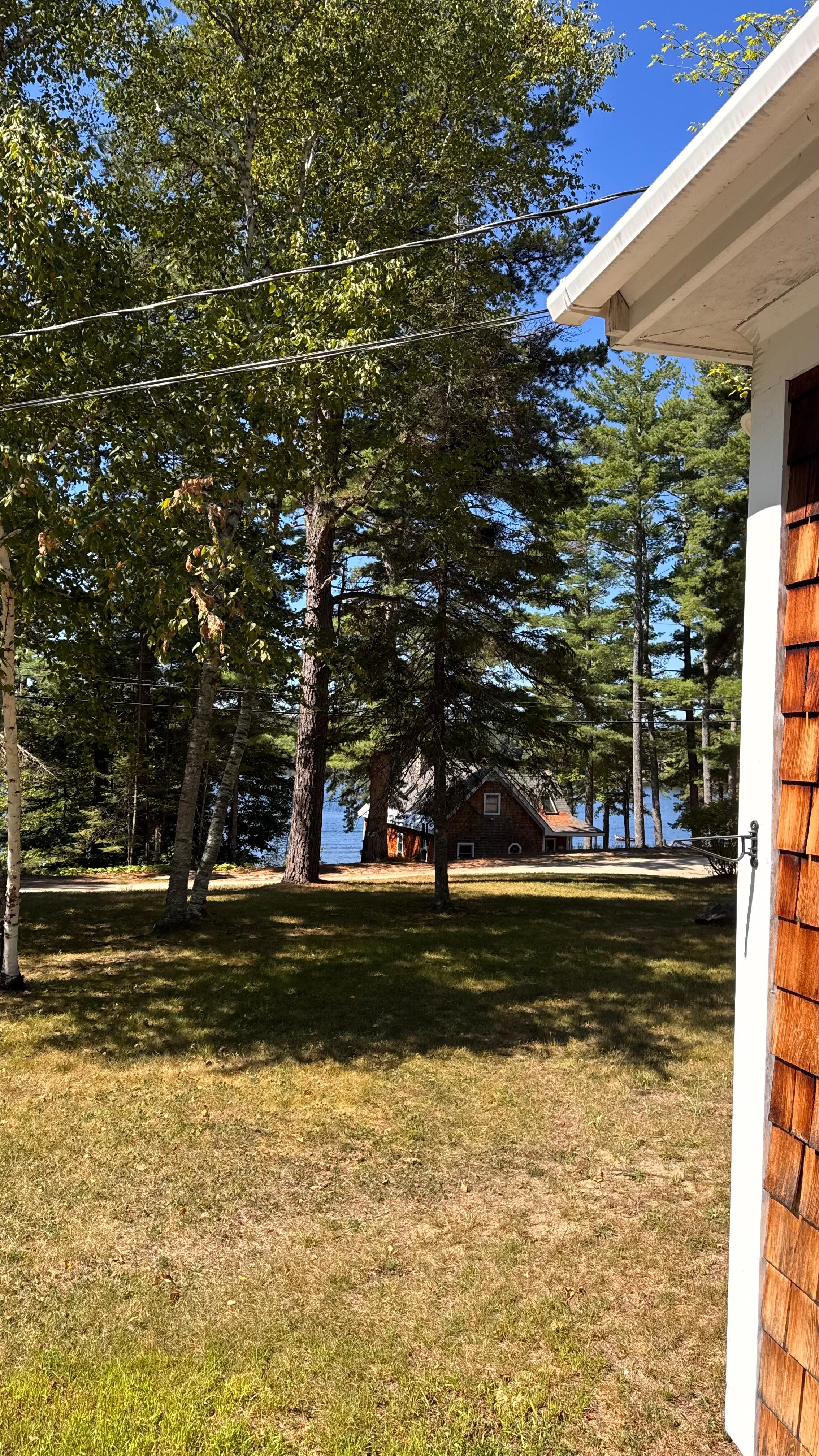 Here is the real view of the lake from the house. 