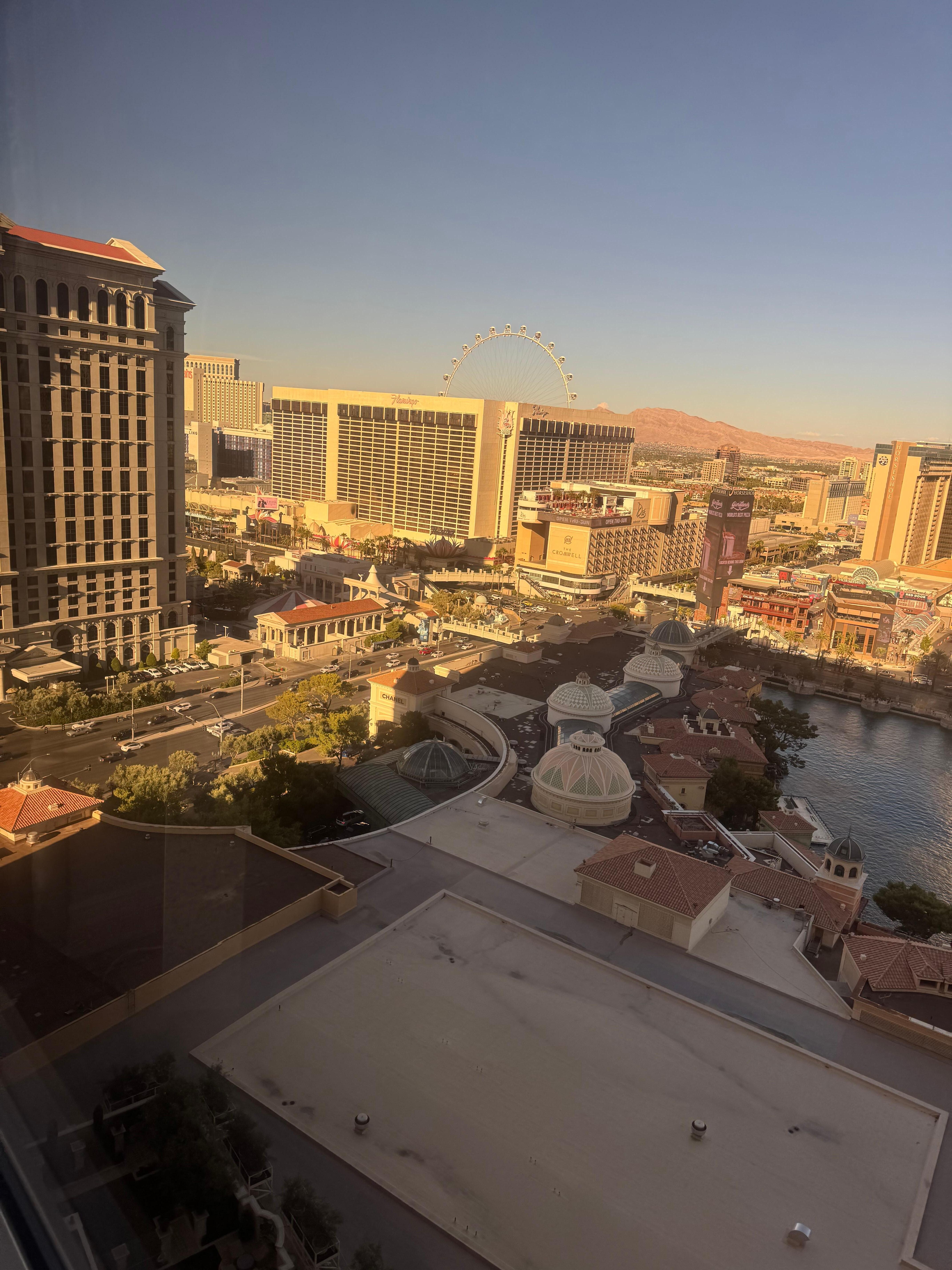 Early am view from rm.