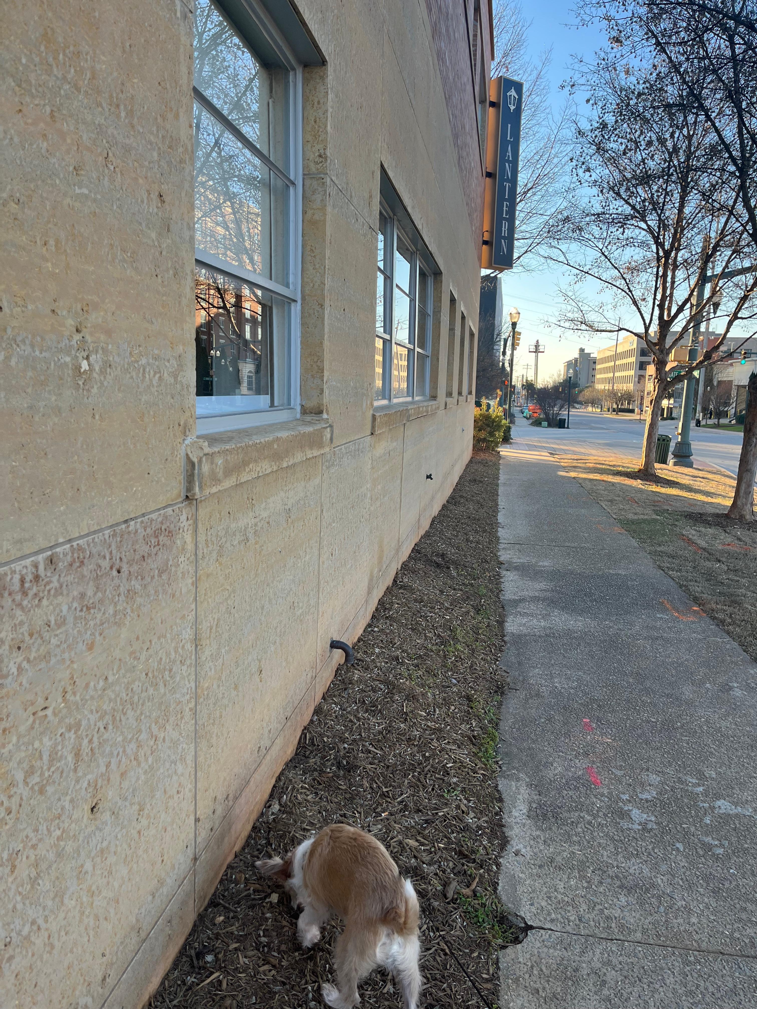 Plenty of spaces to walk nearby - and all around! 