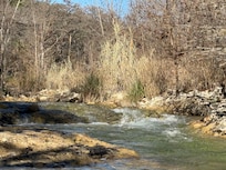 Right behind the cabin