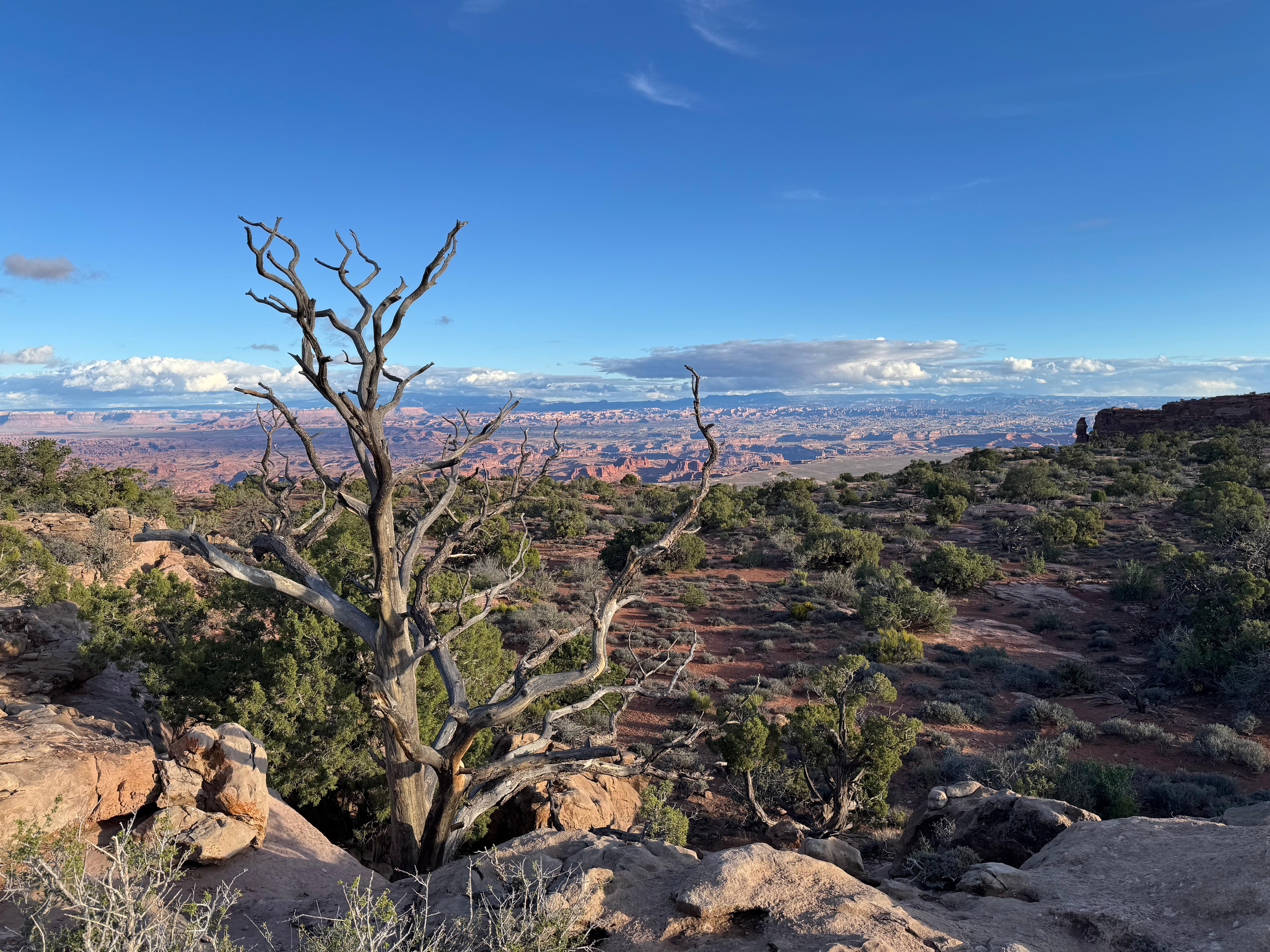 Canyonlands NP near Moab, UT