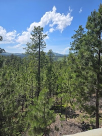 The afternoon view from the deck