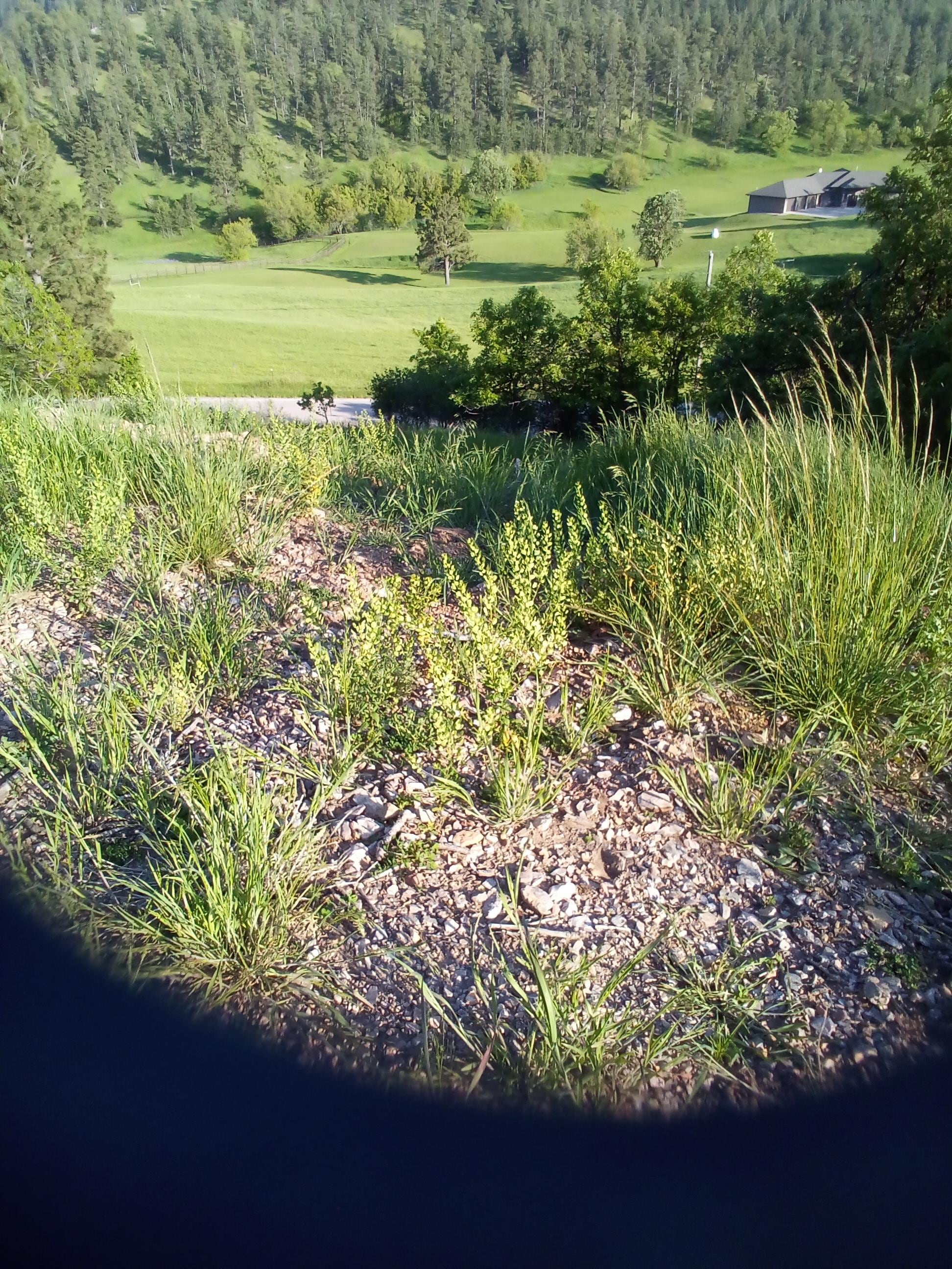 View outside the front door.