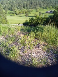 View outside the front door.