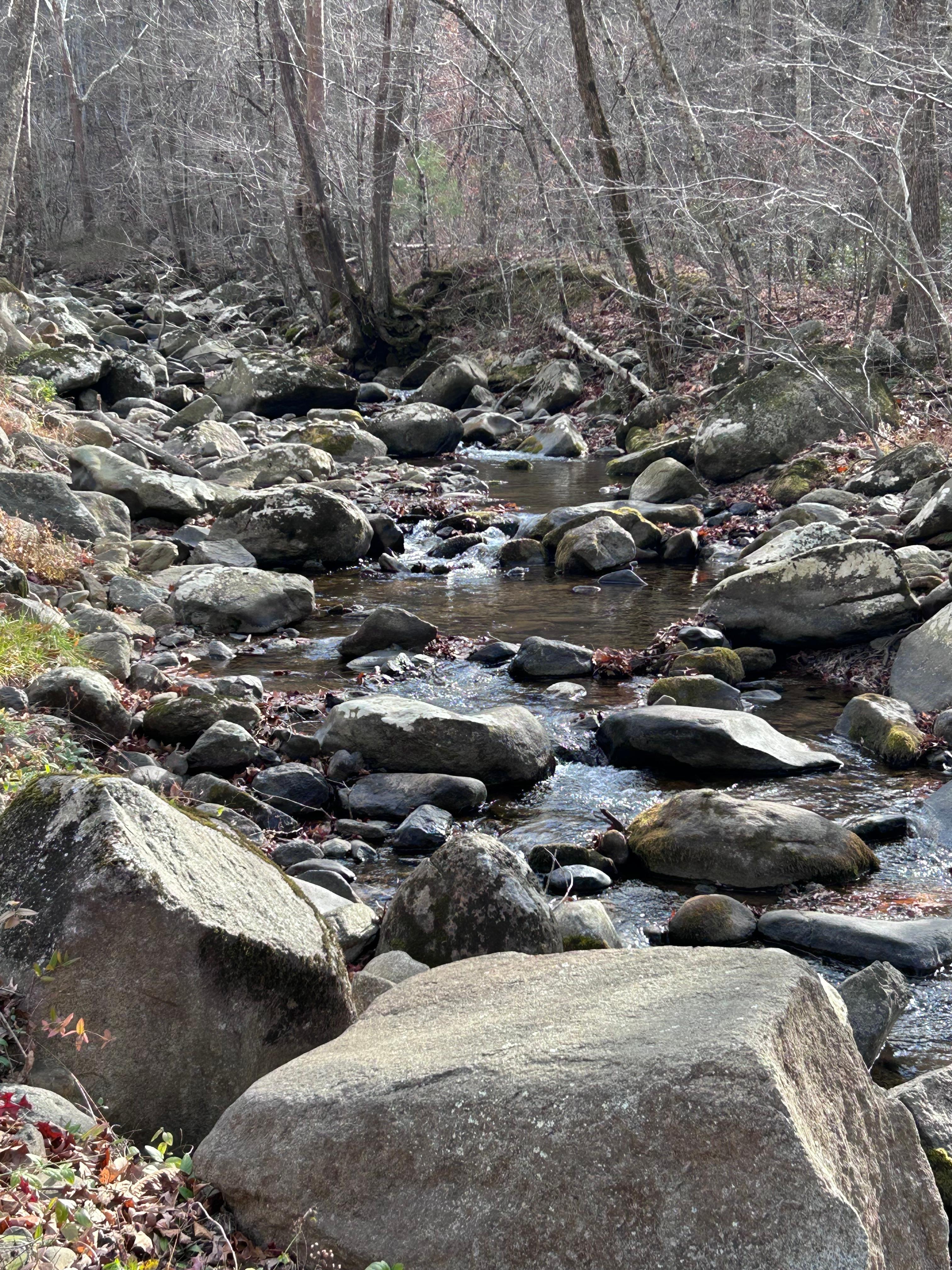 The sound of the babbling, rushing water was serene…