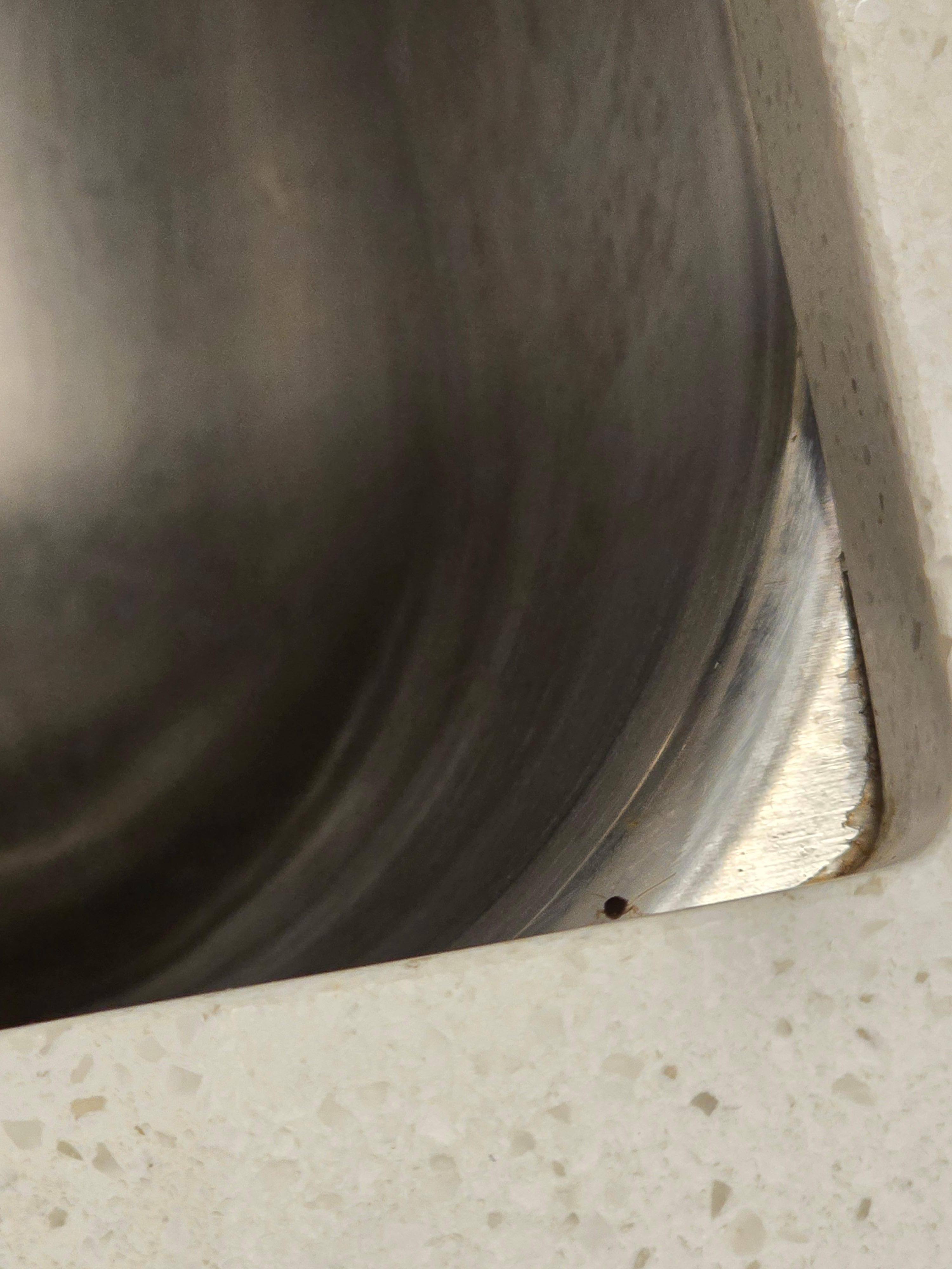 In and around the kitchen sink