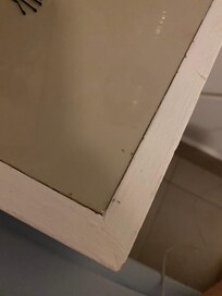 Hormigas por toda la habitación