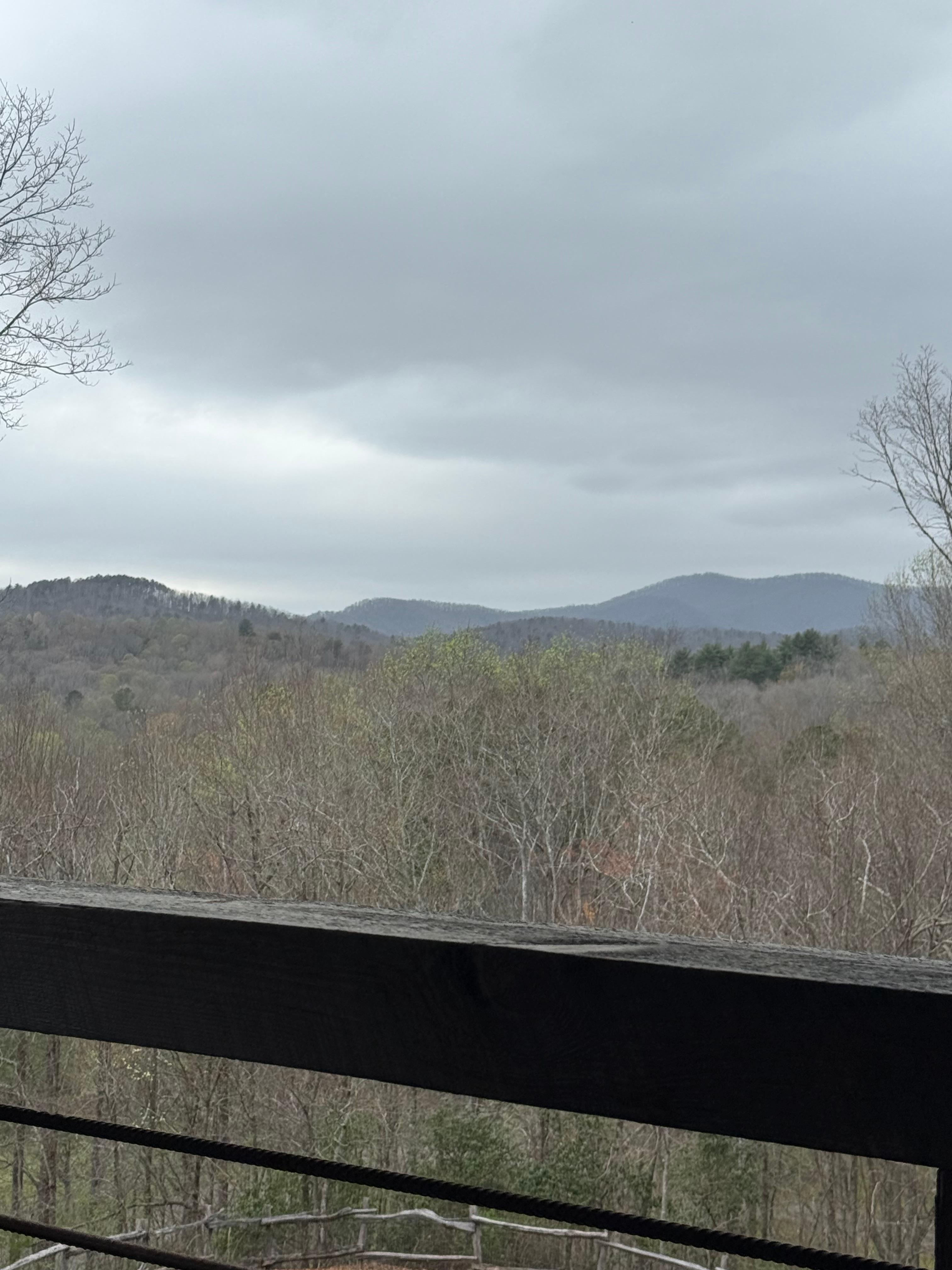 View from the back patio