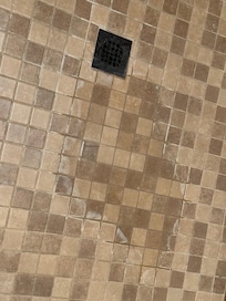 Water standing in shower floor.