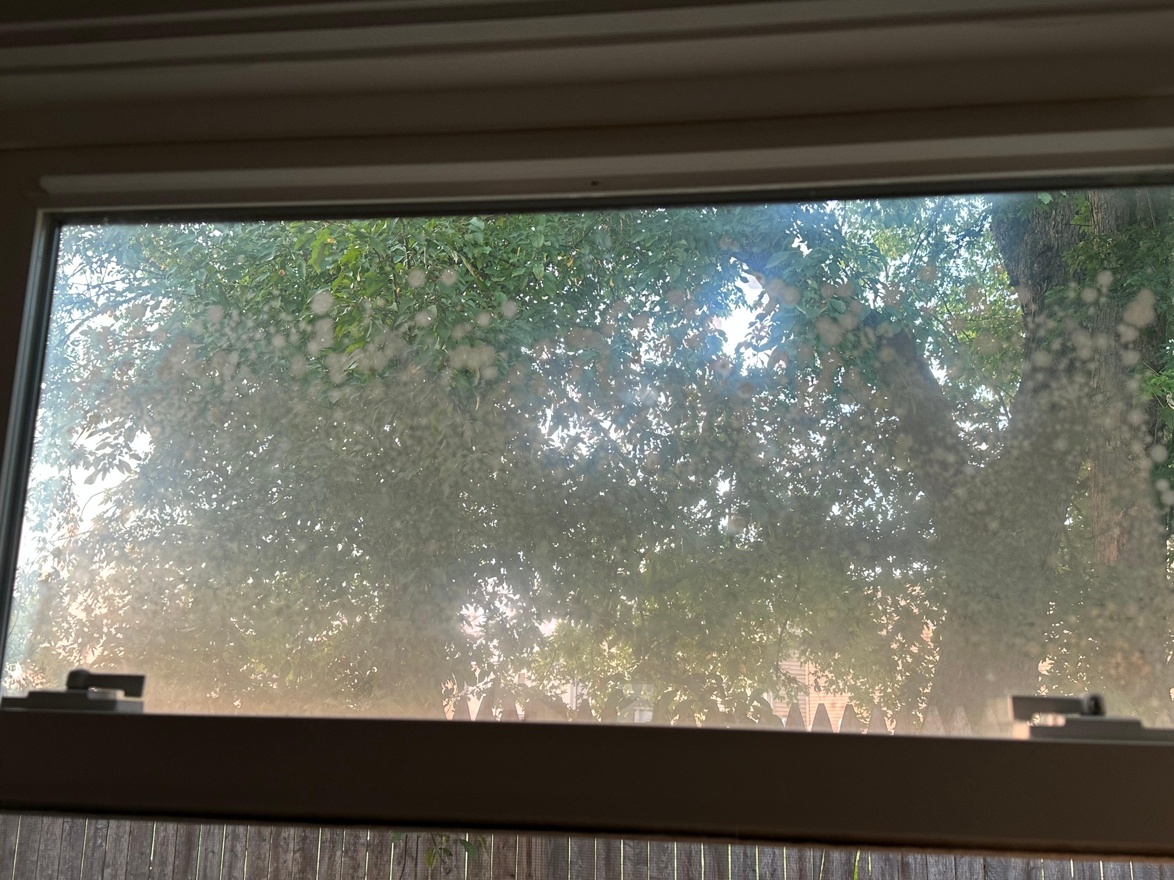 Mildew in window.