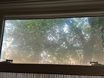 Mildew in window.