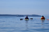 Watching ferry from Shaw Island