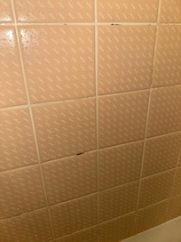 Mold in bathroom