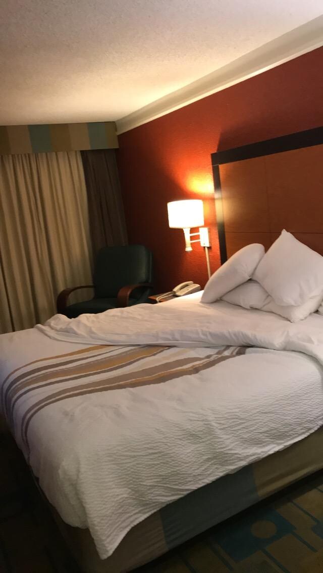 Excellent bed I slept so well