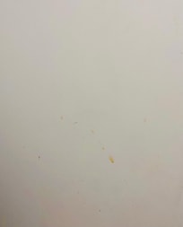 Mur éclaboussé
