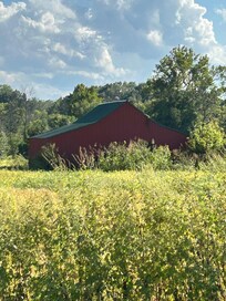 View from the front porch