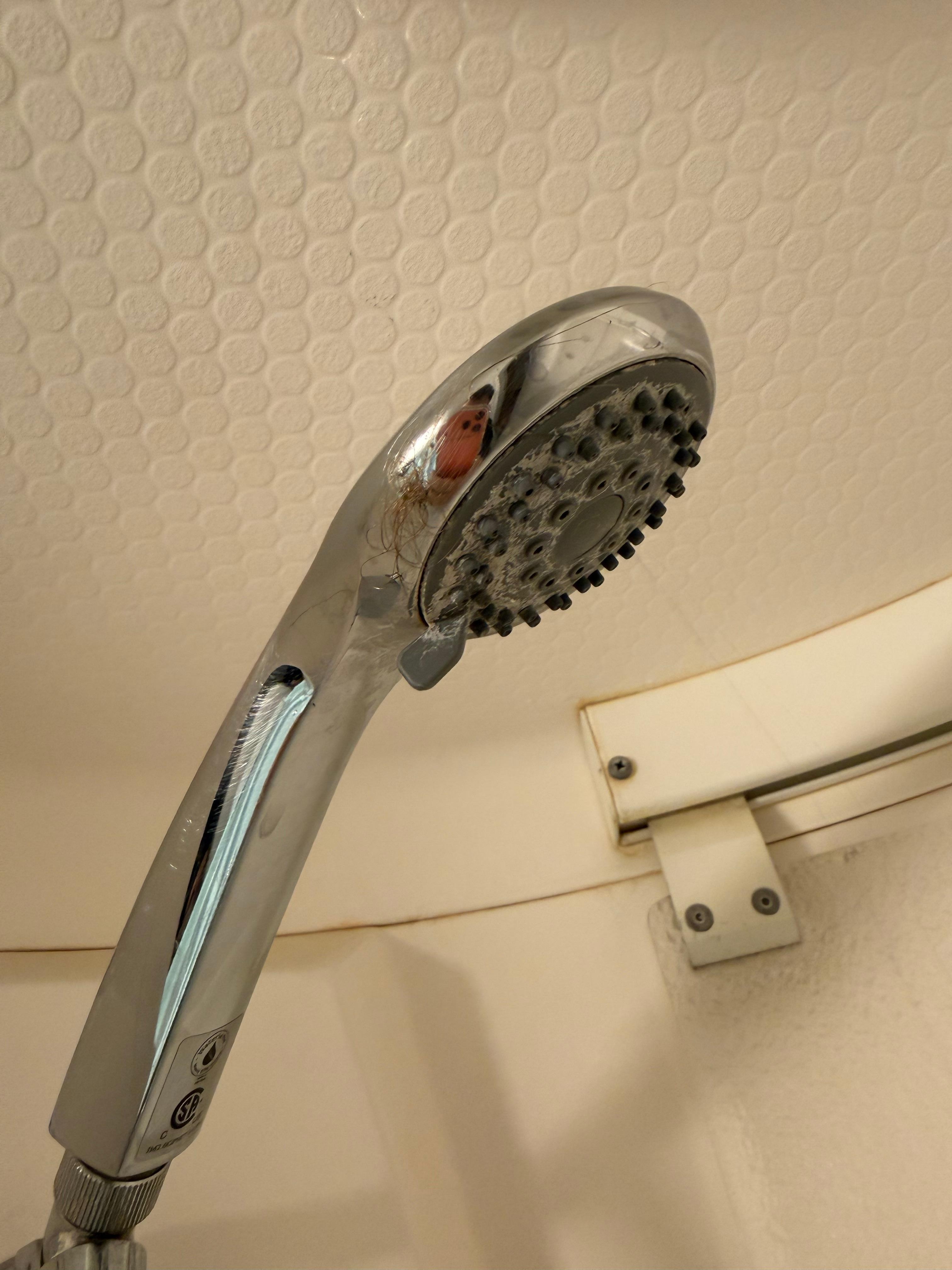 Des cheveux étaient collés sur le pommeau de douche 